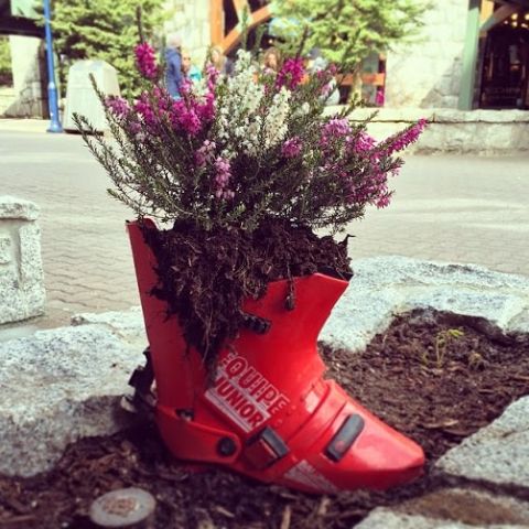 Ski Boot Planter