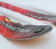 Dynastar Cham High Mountain 107 Alpine Touring Skis -- Review