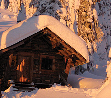 Grassy Hut Bonnington Range Nelson BC