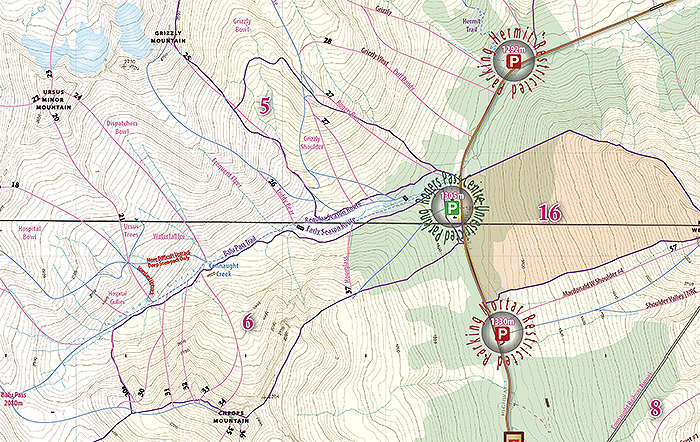 Rogers Pass Uptracks, Bootpacks & Bushwhacks Book