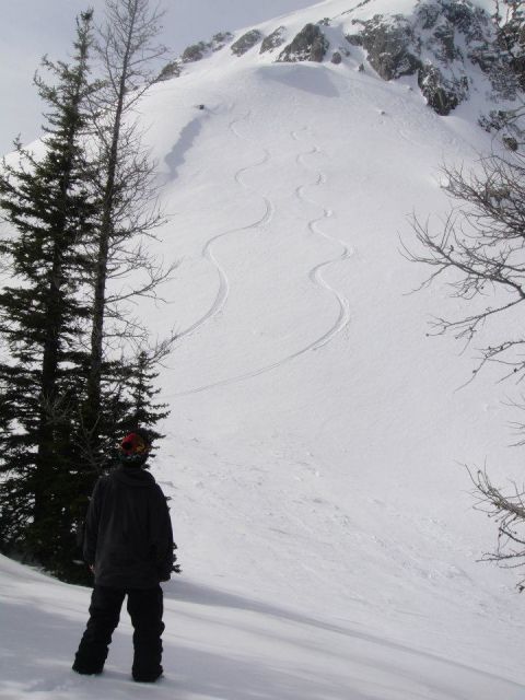 Admiring the awesome spring freshies!