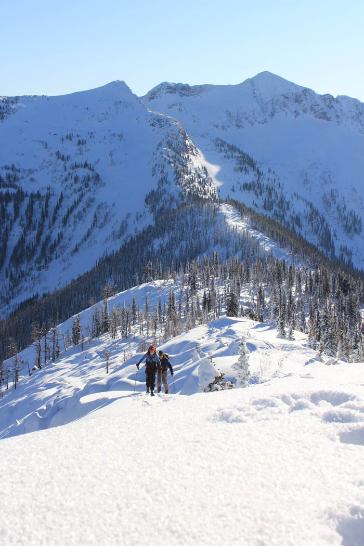 backcountry skiing canada survey