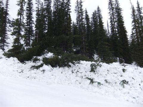 backcountry skiing canada avalanche photo