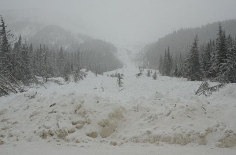 backcountry skiing class 4 avalanche 1