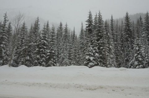 backcountry skiing class 4 avalanche 1