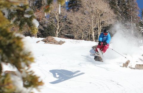 backcountry skiing canada utah powder photo