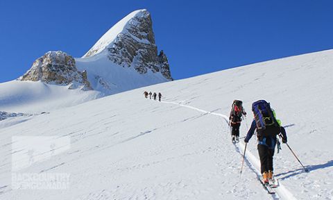 Wapta Traverse backcountry skiing