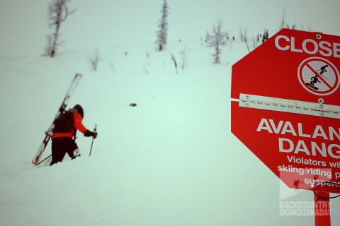 Kootenay Coldsmoke Powder Festival