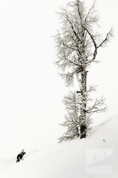 Kootenay Coldsmoke Powder Festival