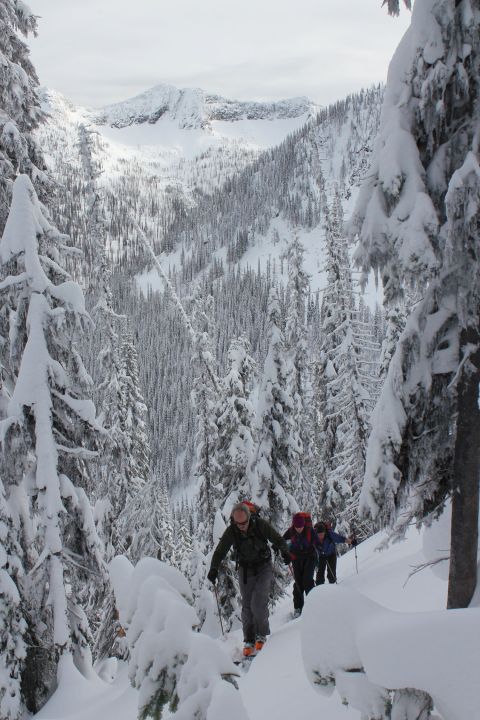 whitewater backcountry skiing