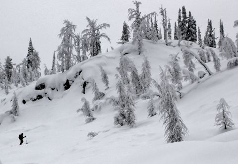 whitewater backcountry skiing