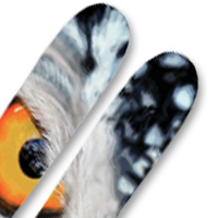 Epic Planks Sherpa Skis