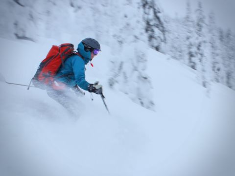 backcountry skiing White Queen Whitewater Ski Resort1