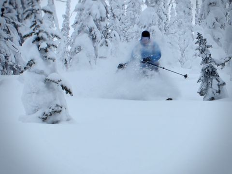 backcountry skiing White Queen Whitewater Ski Resort1