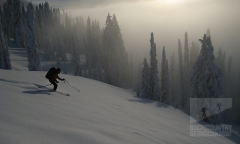 Grassy Hut Bonnington Traverse Backcountry Skiing 