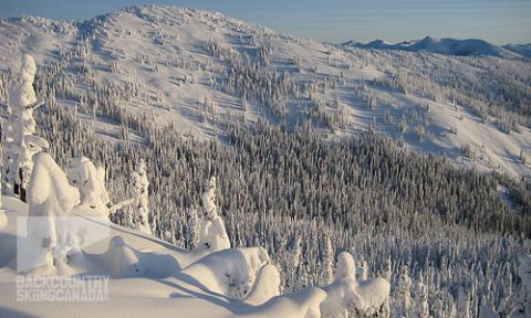 Grassy Hut Bonnington Traverse Backcountry Skiing 