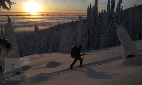 Grassy Hut Bonnington Traverse Backcountry Skiing 