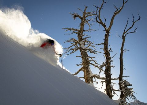 Powderwhore Production Elevation a backcountry ski film 