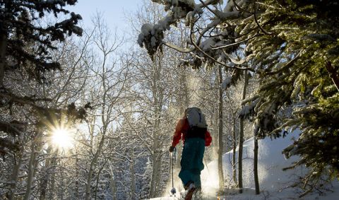 Powderwhore Production Elevation a backcountry ski film 