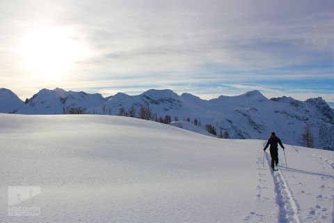 powder-creek-lodge-backcountry-skiing