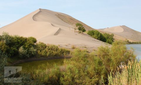 sandboarding