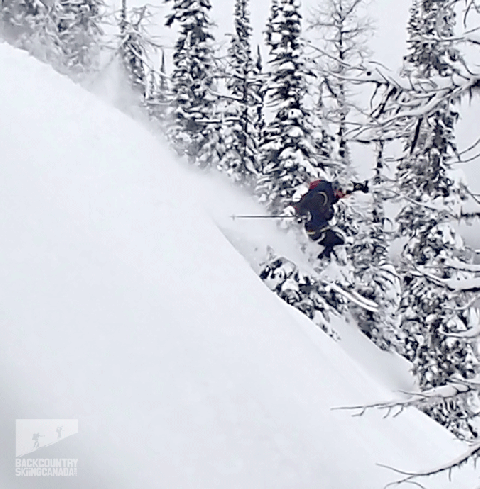 whitewater-backcountry-ski-touring