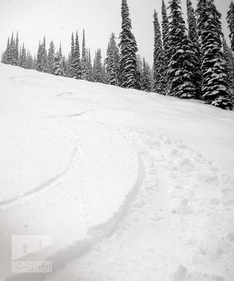 whitewater-backcountry-ski-touring