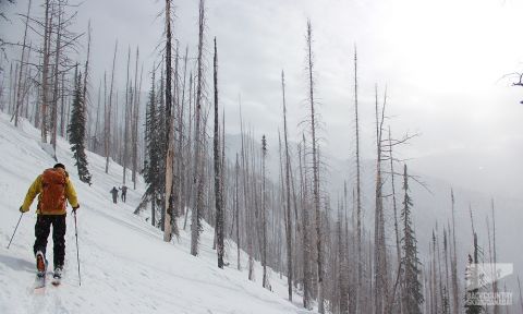 whitewater backcountry skiing
