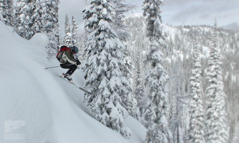 Whitewater-Backcountry-Skiing