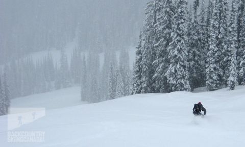 backcountry skiing nelson