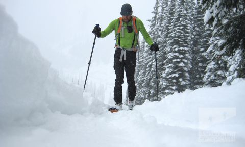 backcountry skiing nelson