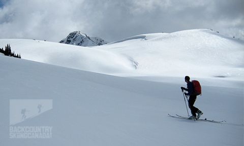 Whistler Backcountry Skiing