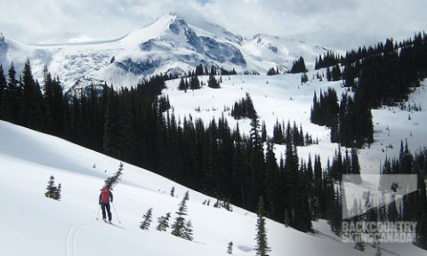 Whistler Backcountry Skiing