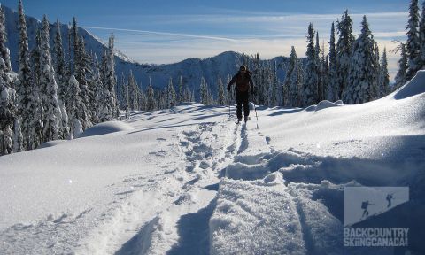 Backcountry Skiing Whitewater Ski Resort