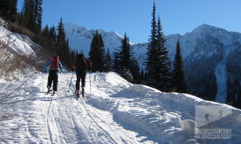 Backcountry Skiing Whitewater Ski Resort