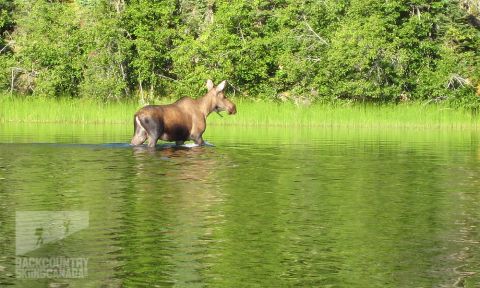 Bowron Lakes