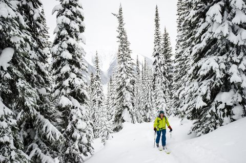 greg hill backcountry skiing