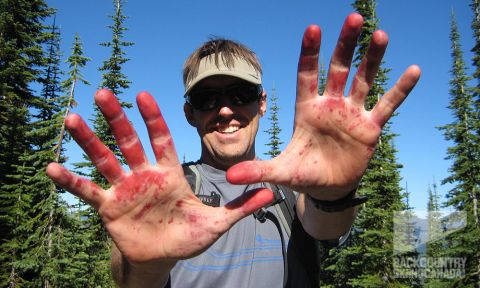 Huckleberry-Hut-Backcountry-Skiing