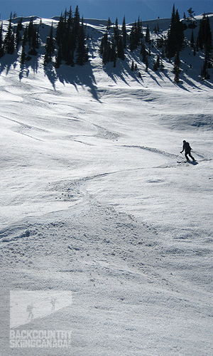 Toad Mountain Backcountry Skiing