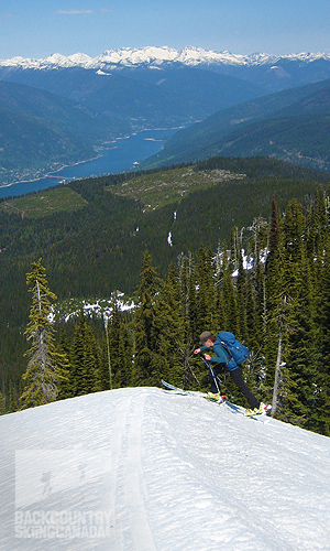 Toad Mountain Backcountry Skiing