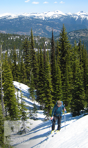 Toad Mountain Backcountry Skiing