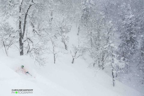 Skiing Japan