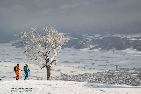 Skiing Japan