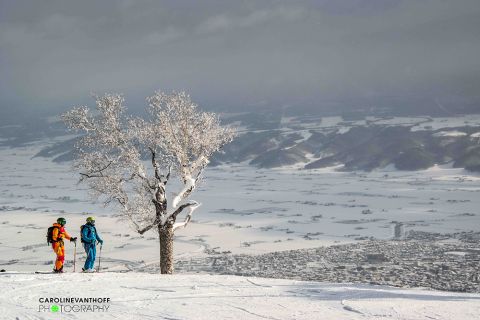 Skiing Japan