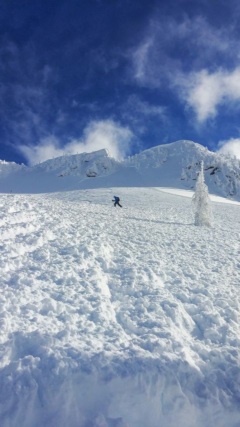 backcountry-skiing-whitewater-avalanche