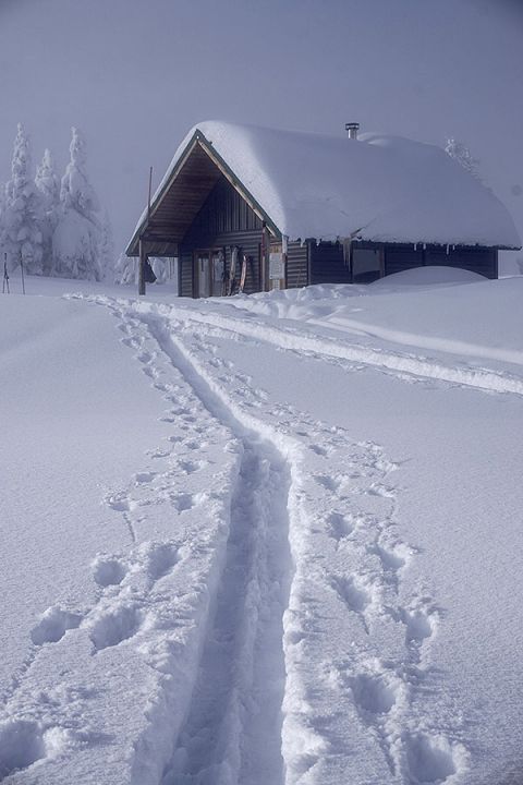 Backcountry Skiing Jumbo Cabin