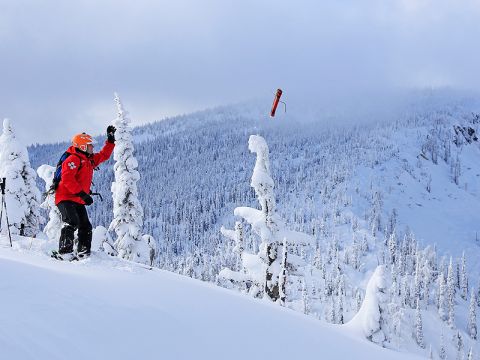 backcountry avalanche