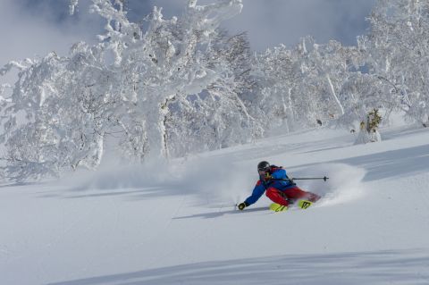freeski tv