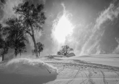 Ski Gulmarg