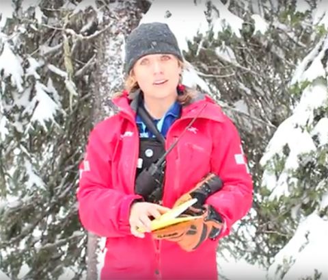 Avalanche Conditions Report Video